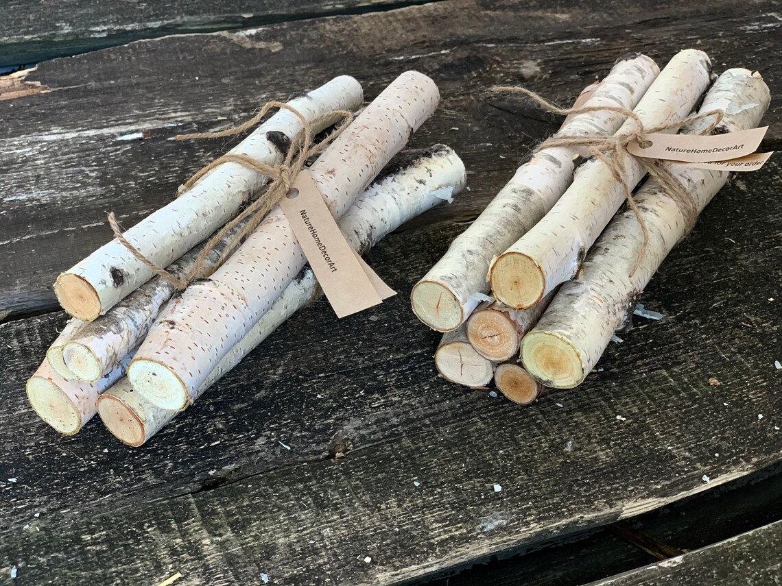 White birch logs. 6 white birch branches. Rustic birch decor. Etsy