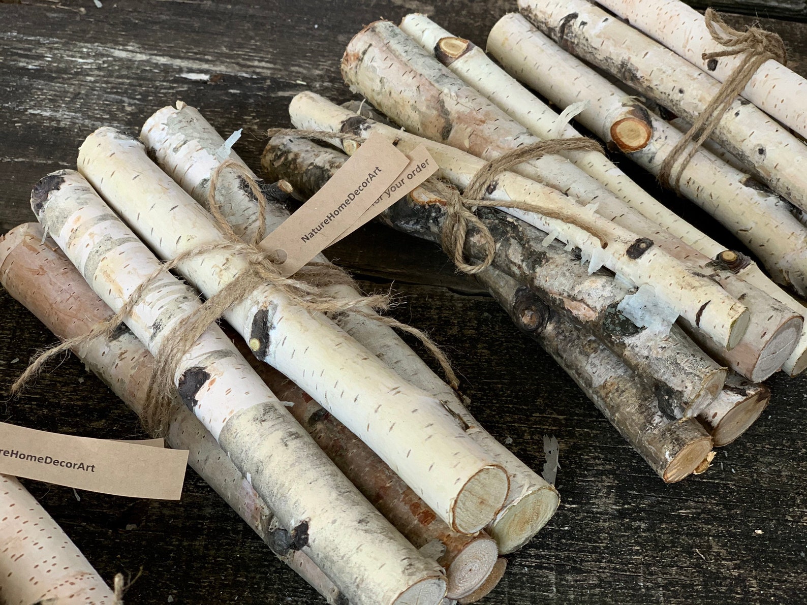White birch logs. 6 white birch branches. Rustic birch decor. Etsy