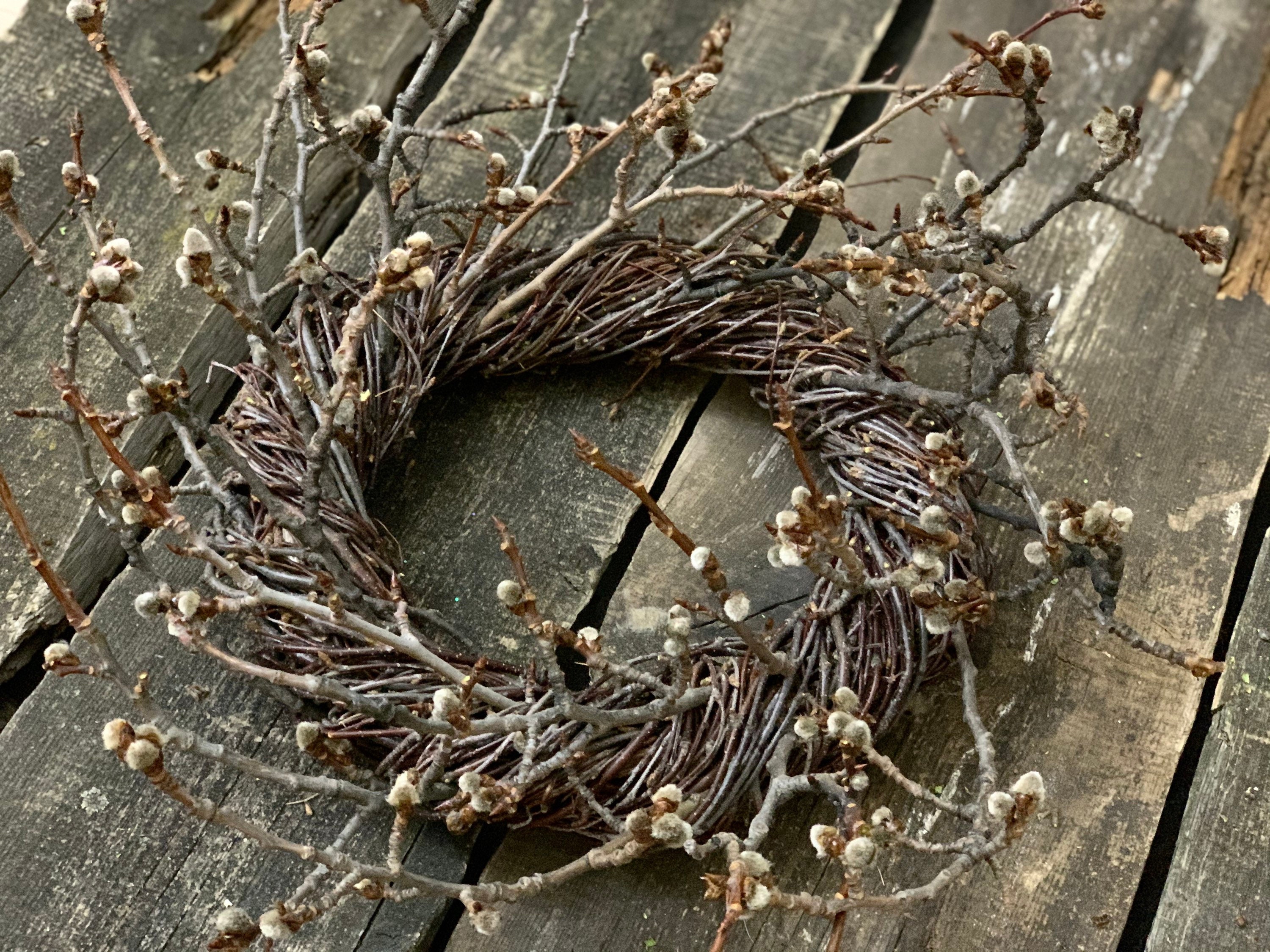 Twig wreath small. Wreath twig birch aspen. Natural spring Etsy