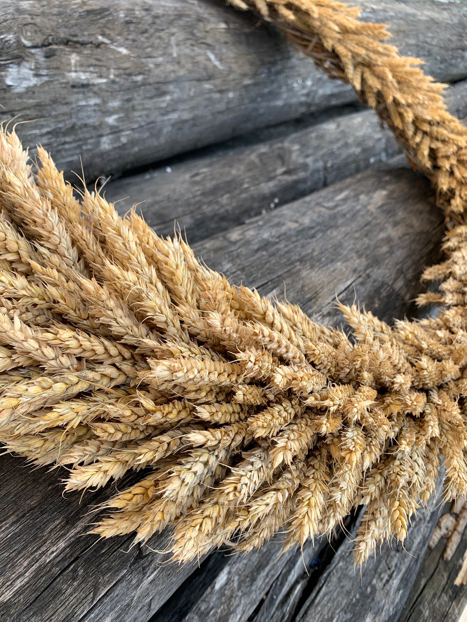 Extra large wheat wreath. Wheat wreath. Zero waste wreath. Etsy