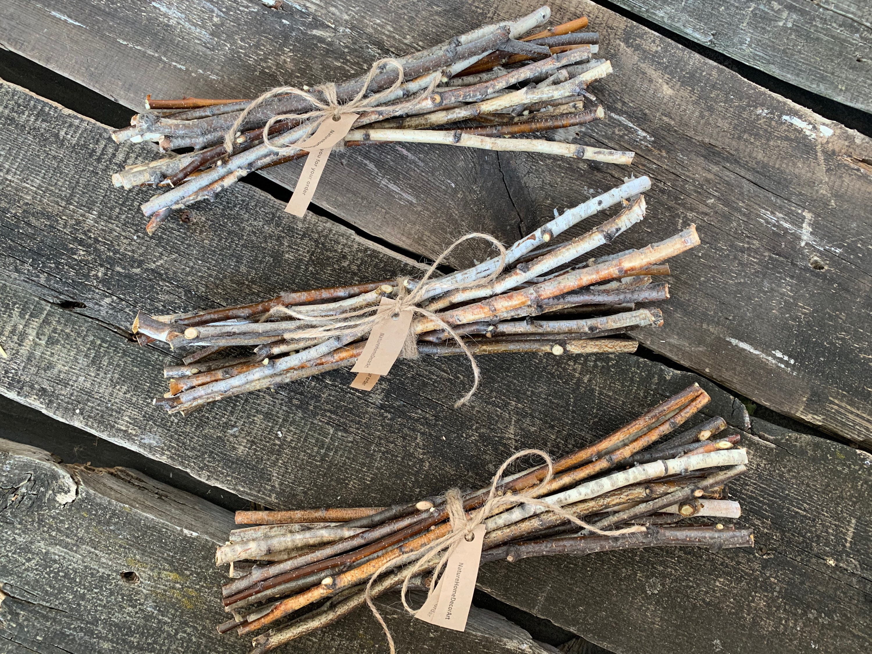 15 white birch sticks. Birch twigs. Craft wood sticks. Wedding Etsy