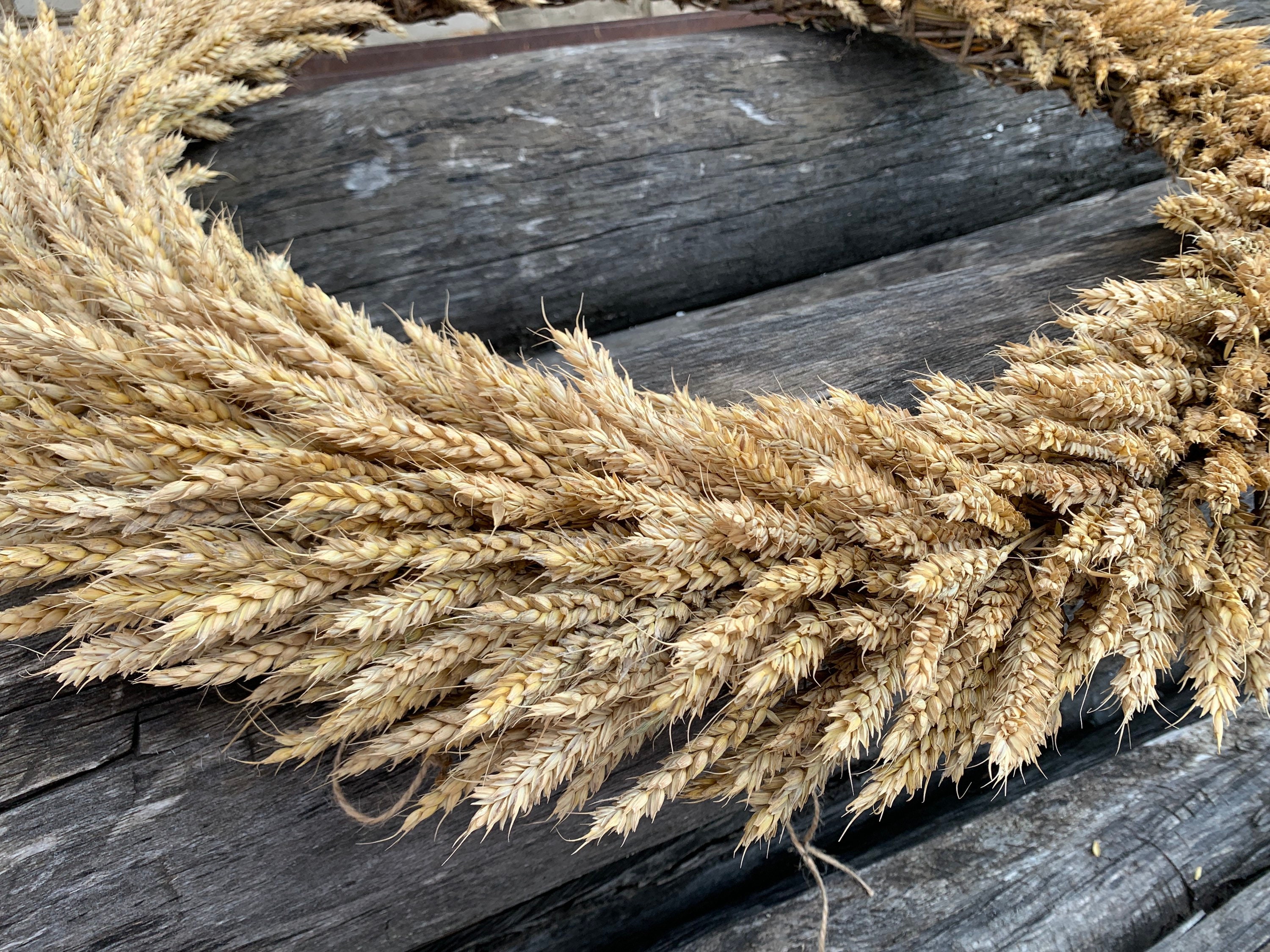 Extra large wheat wreath. Wheat wreath. Zero waste wreath. Etsy