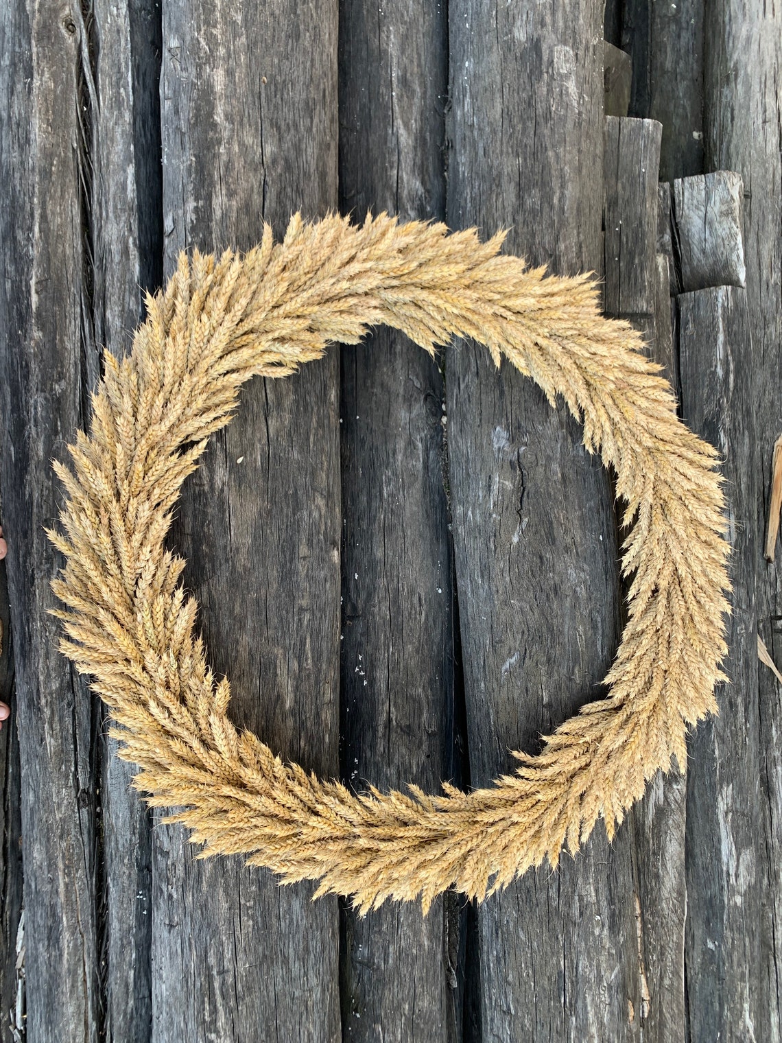 Extra large wheat wreath. Wheat wreath. Zero waste wreath. Etsy