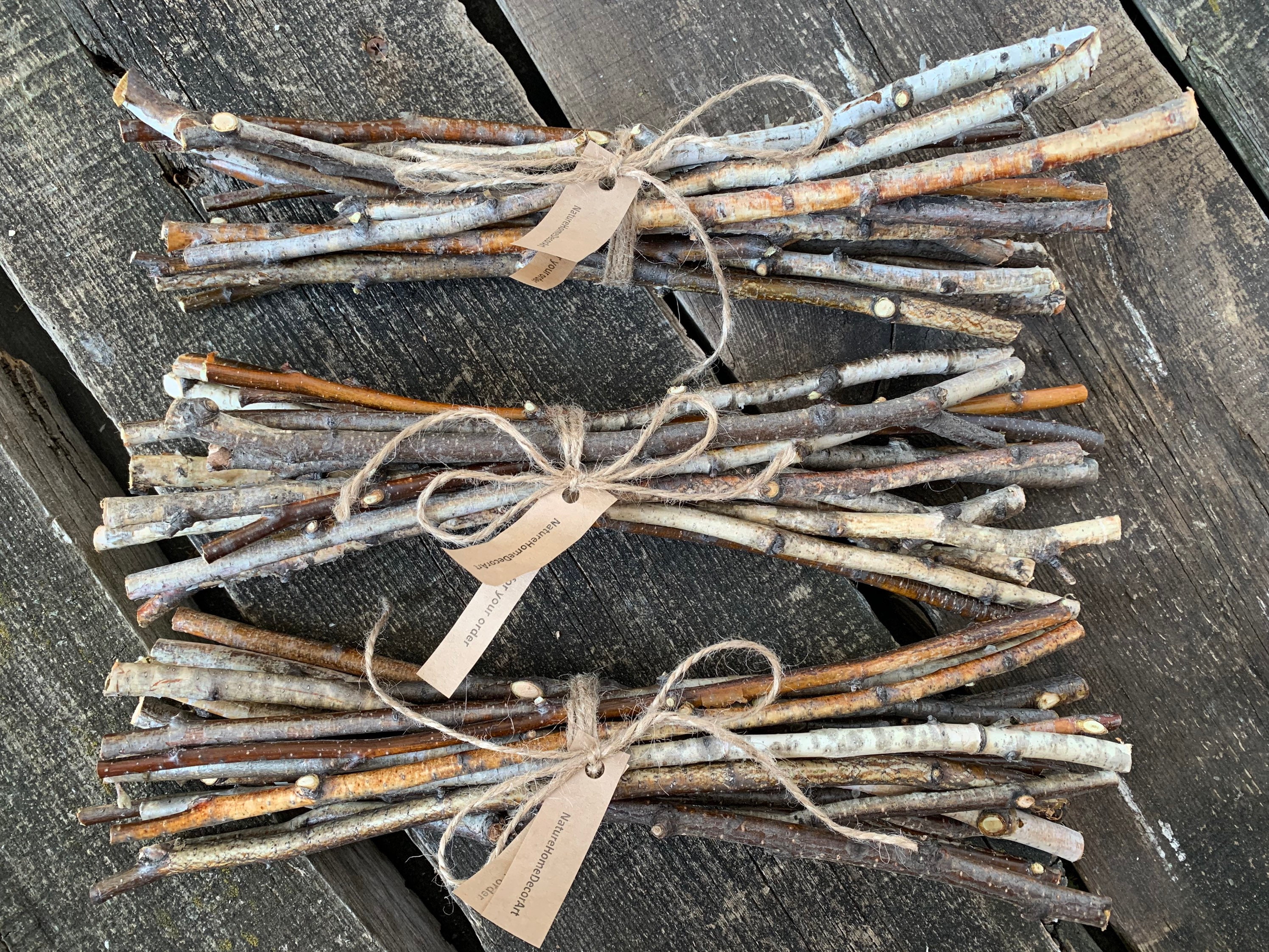 15 white birch sticks. Birch twigs. Craft wood sticks. Wedding Etsy