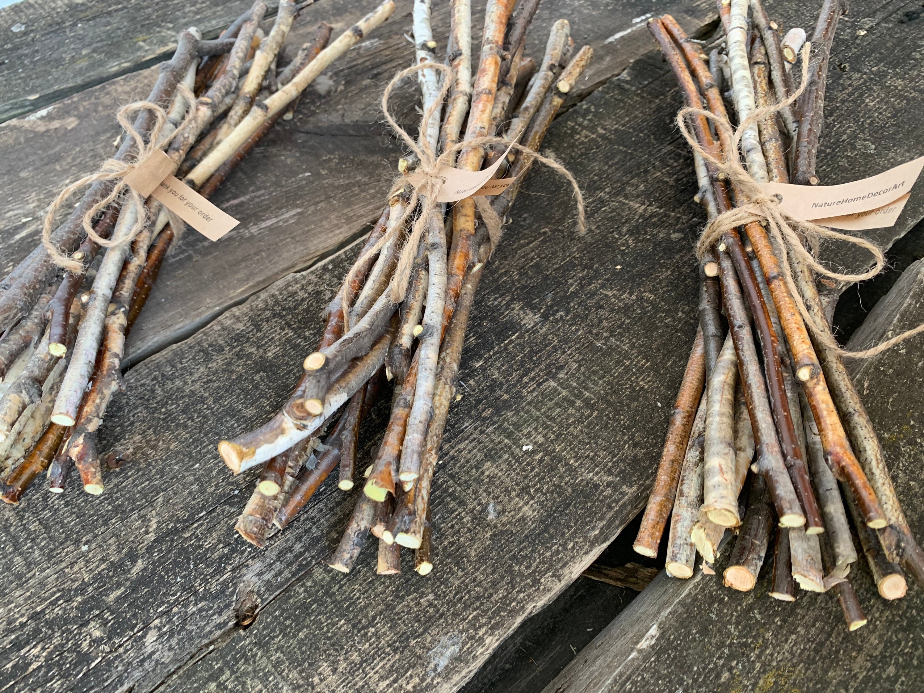 15 white birch sticks. Birch twigs. Craft wood sticks. Wedding Etsy
