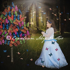 Butterfly Tree, Nature, Whimsical, Photoshop