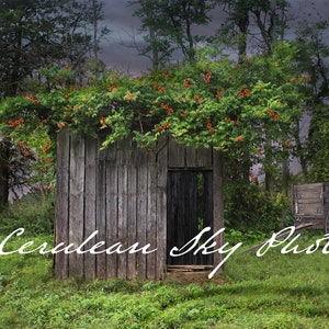 Old Well House with Trumpet Vine and Wagon, digital background, summer, farm