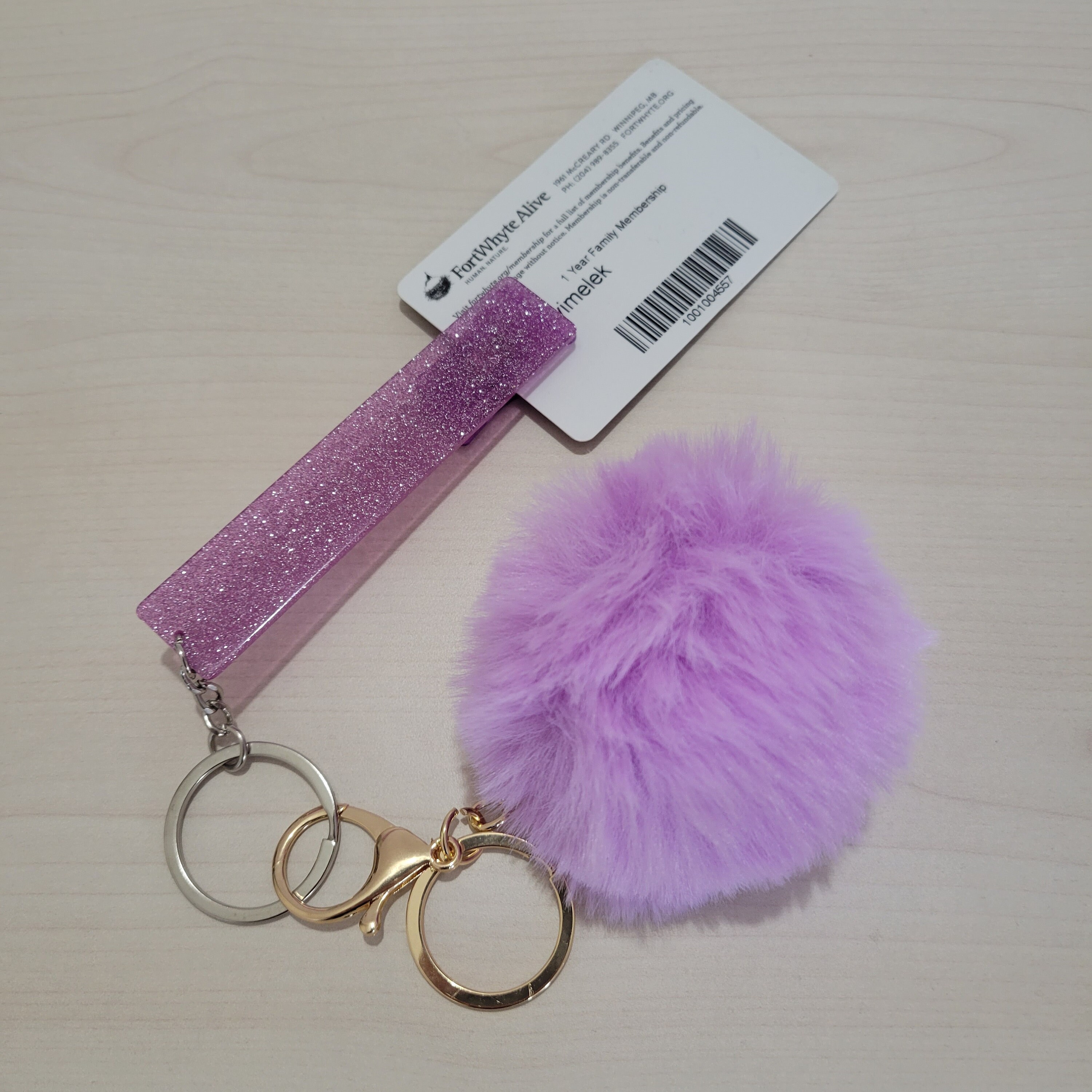SZ-LY Card Grabber for Long Nails, Keychain with Pom Pom Ball and Plastic  Clip, Credit Card Puller for Long Nails Easy to Grab Your Card at The ​Gas