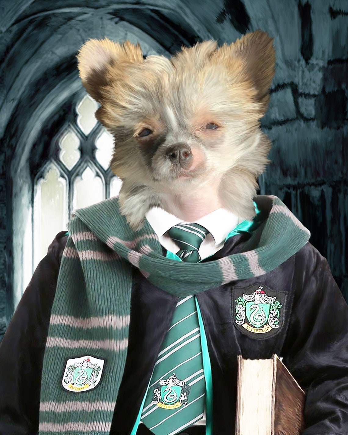 Slytherin Pet Portrait Personal Portrait Custom Pet Etsy