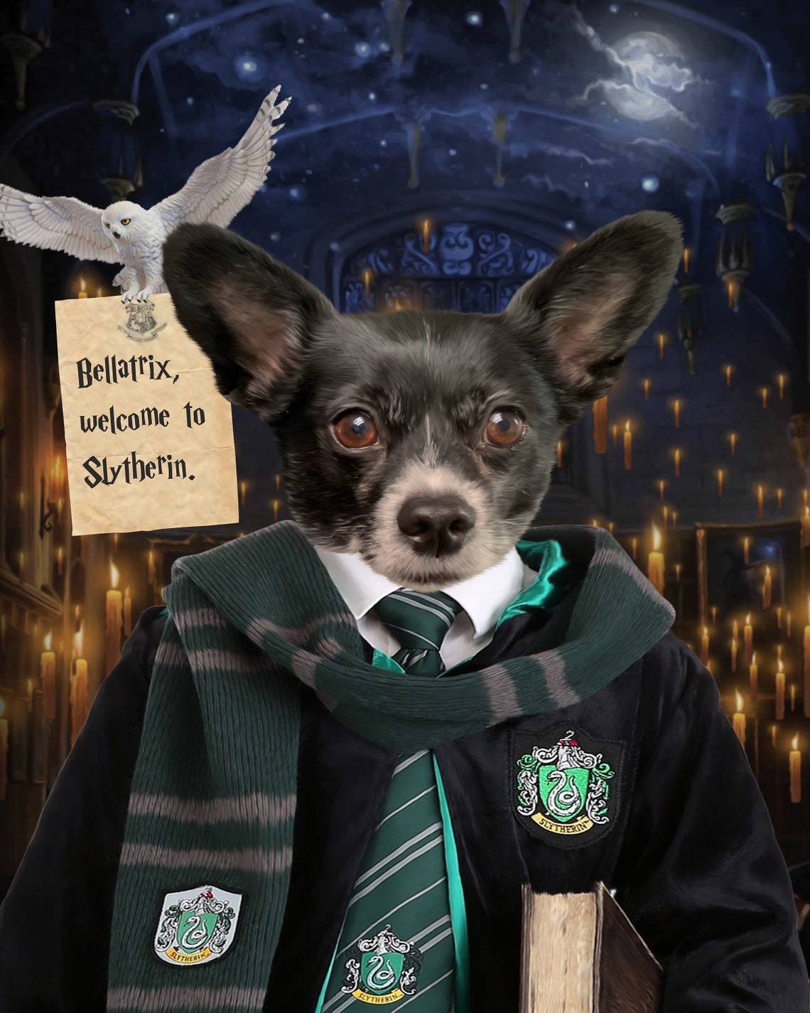Slytherin Pet Portrait Personal Portrait Custom Pet Etsy