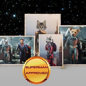 May include: Four framed images of pets dressed as superheroes. The images are set against a black background with white stars. The images feature a cat dressed as Superman, a dog dressed as Batman, a dog dressed as Deadpool, and a cat dressed as Wonder Woman. The images are framed in a rustic wood frame.