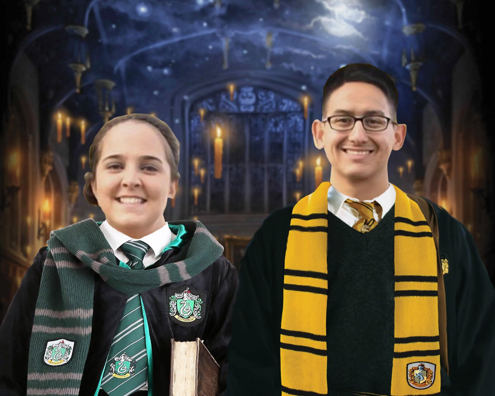 Slytherin Pet Portrait Personal Portrait Custom Pet Etsy