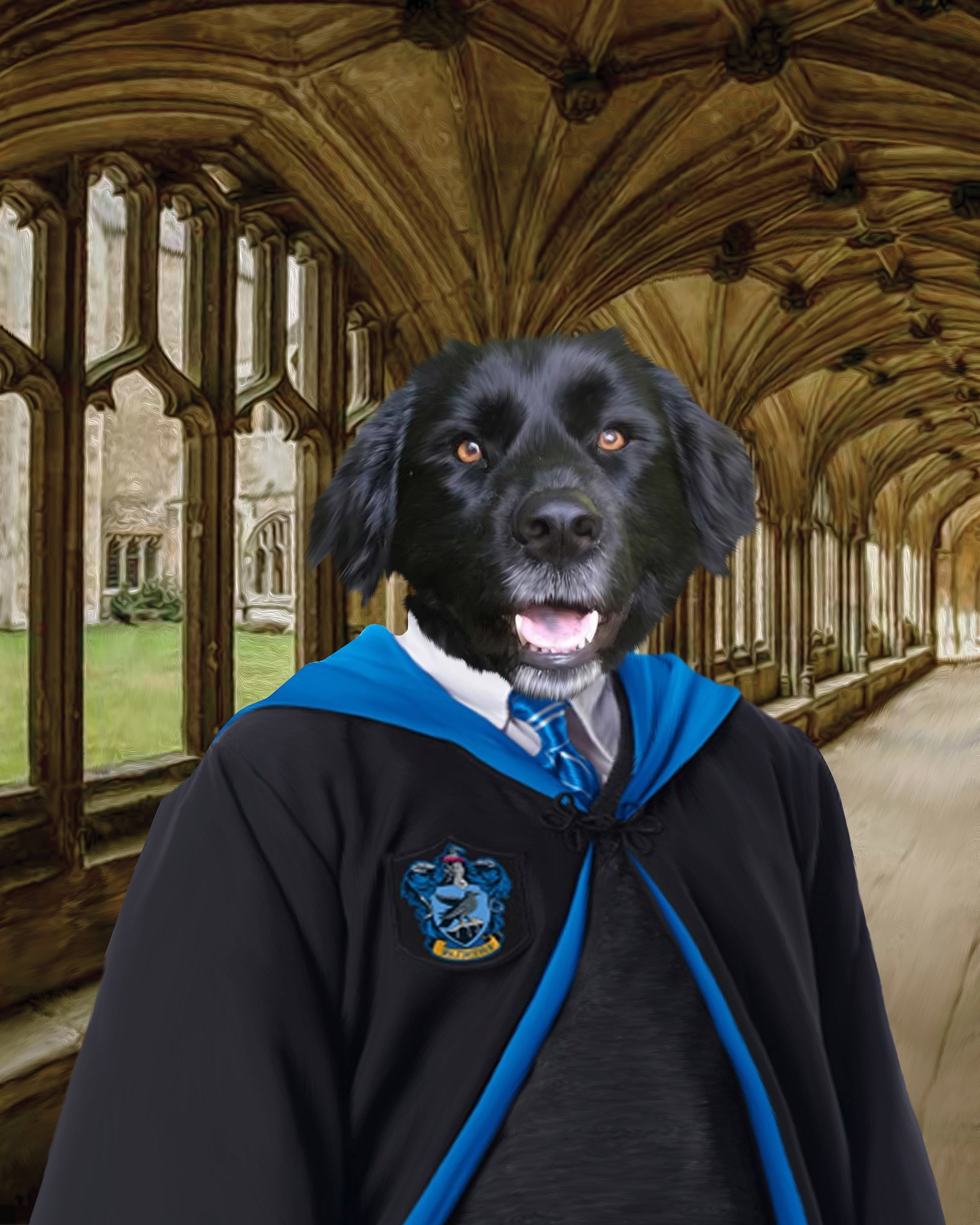 Ravenclaw Pet Portrait Ravenclaw Portrait Custom Pet Etsy