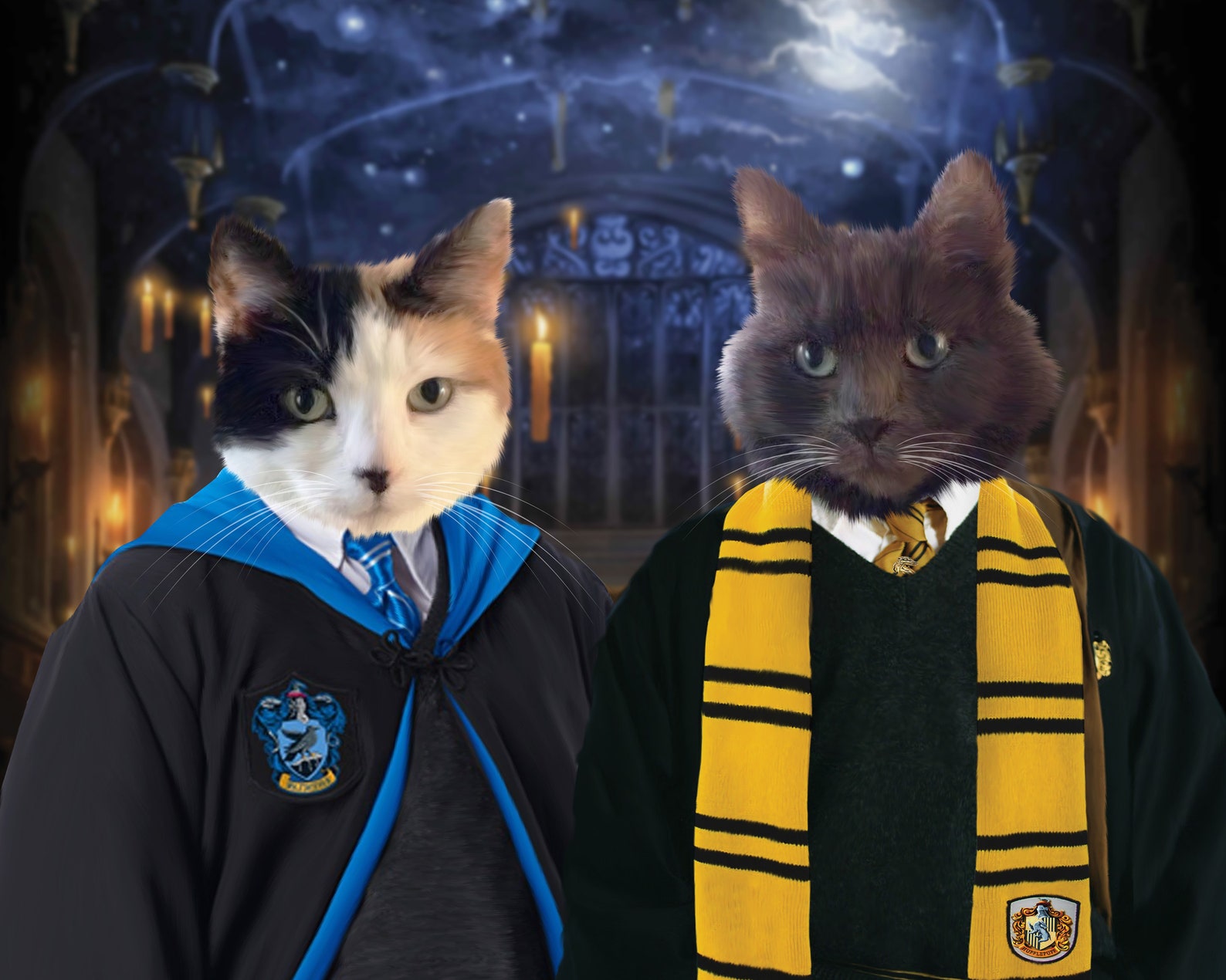 Ravenclaw Pet Portrait Ravenclaw Portrait Custom Pet Etsy
