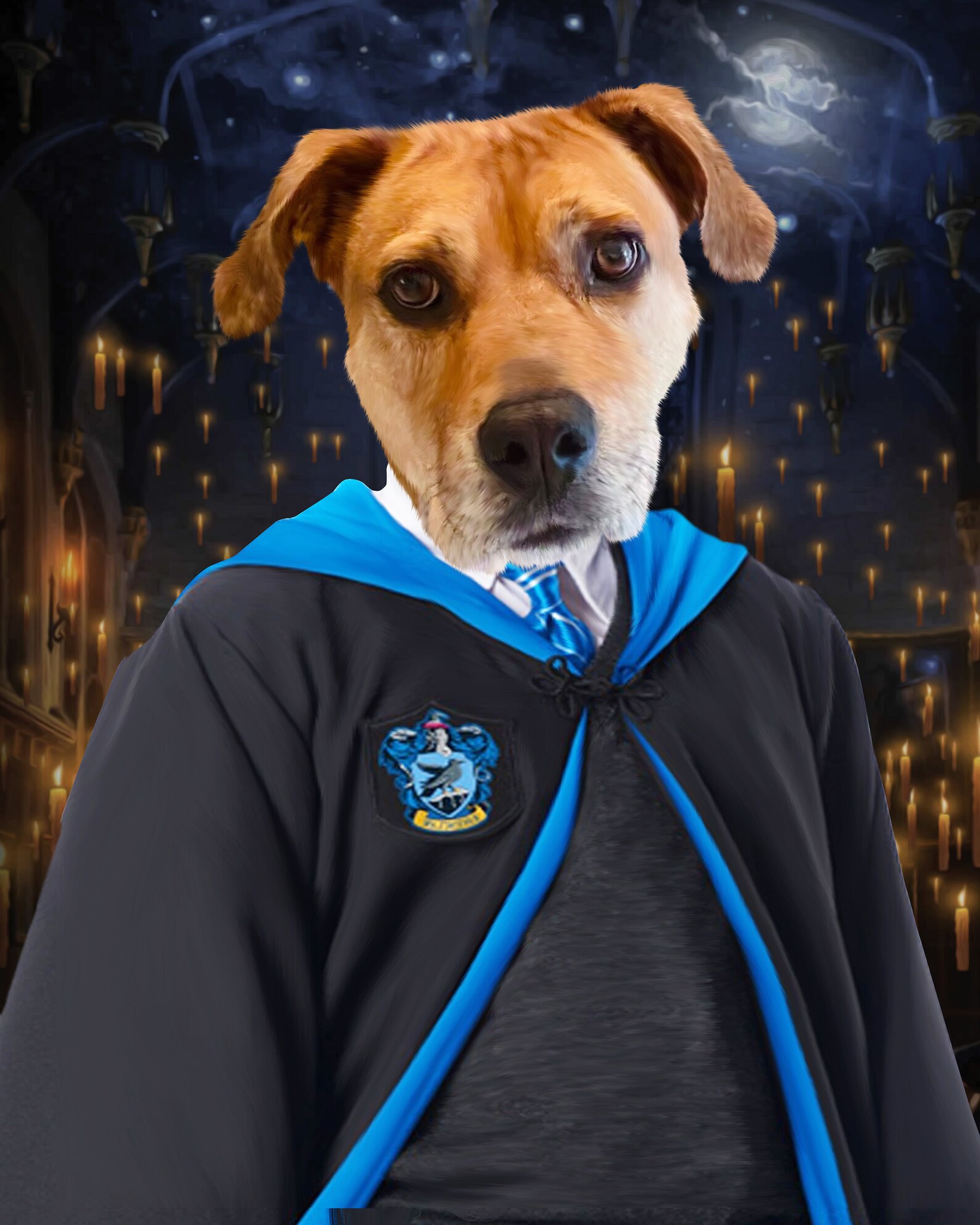 Ravenclaw Pet Portrait Ravenclaw Portrait Custom Pet Etsy