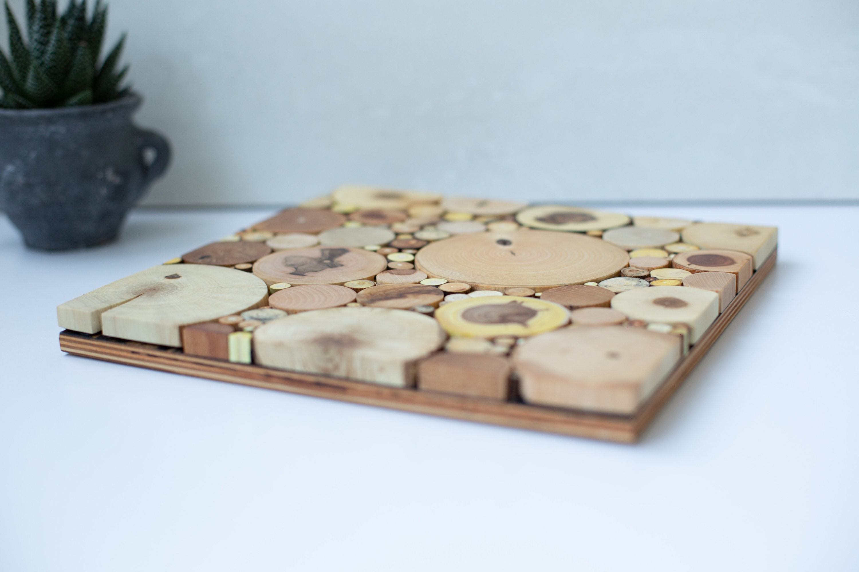 Wall Art Reclaimed Wood Slice Mosaic 9.5"x9.5"(24х24см), Wall Art ...