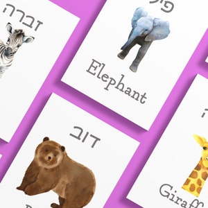 Hebrew English animals nursery print bundle