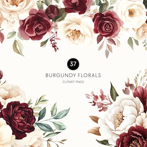 Clipart floral burdeos y crema: rosas, peonías, ramos, coronas y bordes PNG