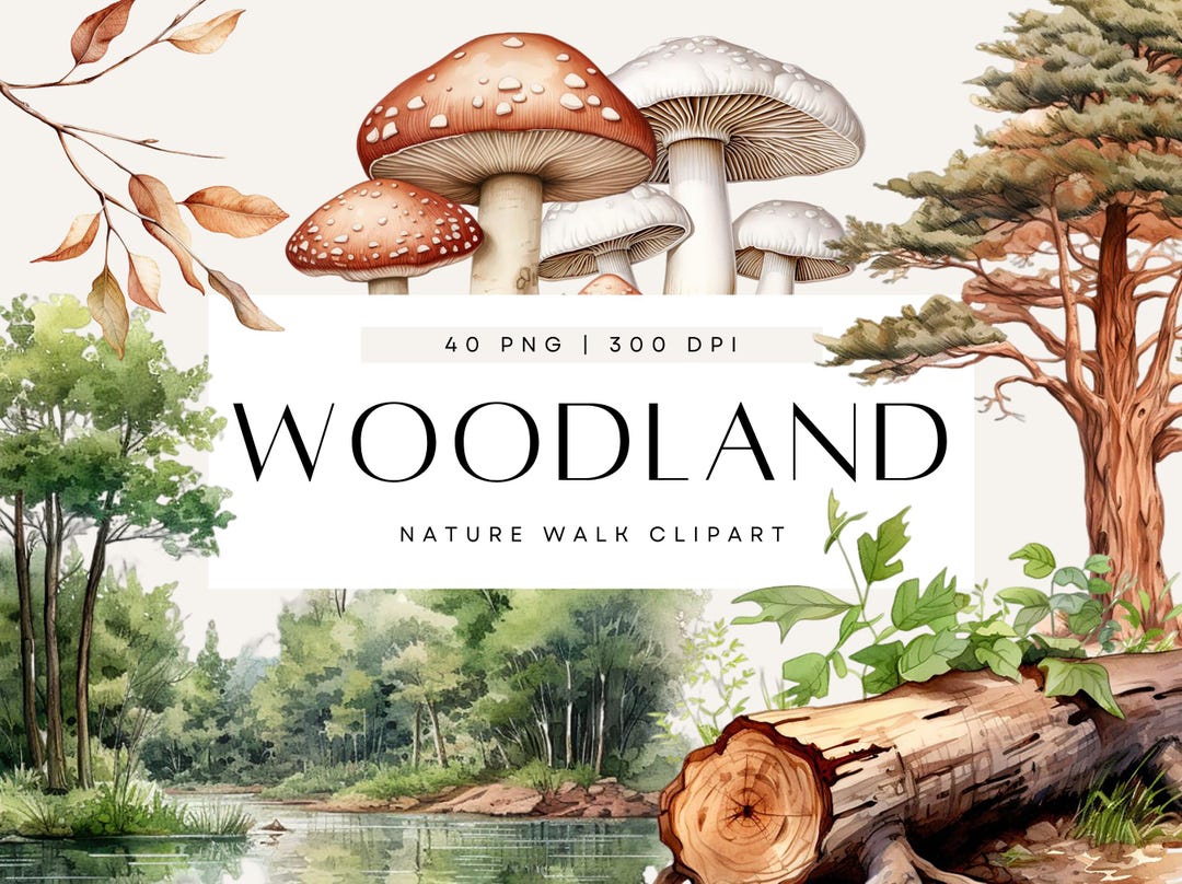 Woodland Clip Art, Watercolor Forest Clip Art, Clipart Scenes ...