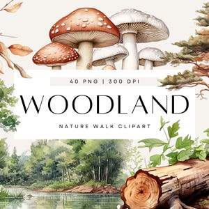 Woodland Clip Art, Aquarell Wald Clip Art, Clipart Szenen, Woodlands Baby-Dusche-Einladungen zum Herunterladen, Woodland Einladung Bundle