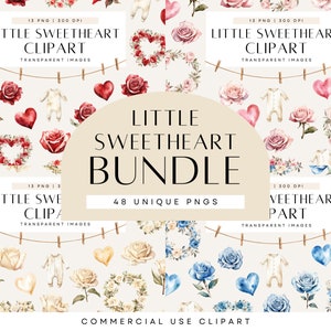 La petite chérie va avoir un an, clipart baby shower, premier anniversaire, couronnes de roses florales, lot de cliparts, usage commercial, PNG transparent