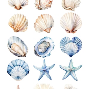 Sea Shell Clipart Beach Baby Shower Cute Neutral Beige Blue PNG