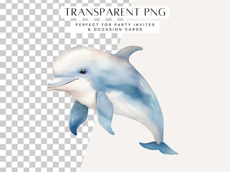 Under the Sea Baby Shower Clip Art, First Birthday Clipart, Under the