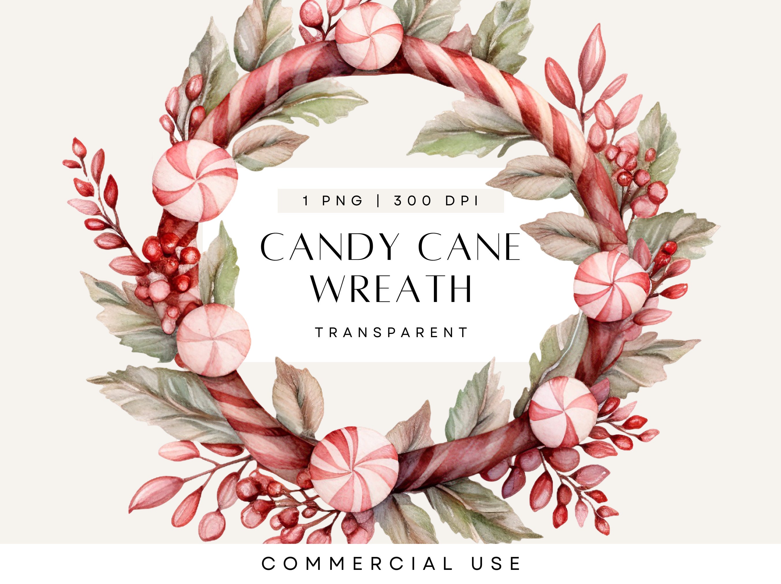 Winter wreathe 2024 ♡ cottonflower 約26 【公式通販】