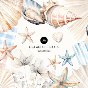 Clipart de concha marina en acuarela, baby shower playero, adorable clip art de concha marina, beige neutro y azul, uso comercial, PNG transparente