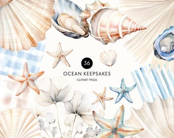 Watercolor Sea Shell Clipart, Beach Baby Baby Shower, Cute Sea Shell Clip Art, Neutral Beige and Blue, Commercial Use, Transparent PNG