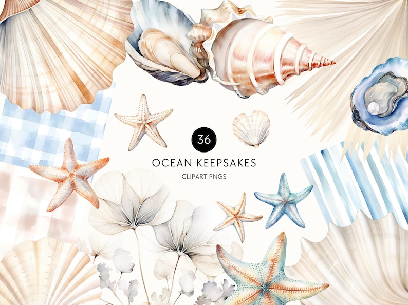Watercolor Sea Shell Clipart Beach Baby Shower Neutral Beige Blue PNG