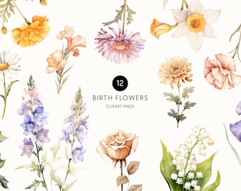 Birth Month Flower Clipart, Clip Art for Commercial Use, Transparent PNGs, Watercolor Floral, Family Flowers, Rose, Daisy, Holly