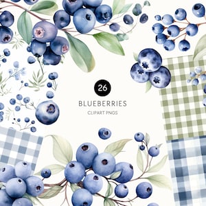 Clipart de acuarela de arándanos, invitación de "Bebé dulce en camino", invitación para baby shower de arándanos, uso comercial, PNG transparente