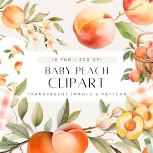 Pfirsich Aquarell Clipart, Pfirsich Blumengrün, Aquarell Pfirsiche Clipart, Baby-Dusche-Clip-Art, kommerzielle Nutzung, transparente PNG