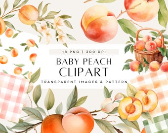 Peach Watercolor Clipart, Peach Floral Greenery, Watercolor Peaches Clipart, Baby Shower Clip Art, Commercial Use, Transparent PNG