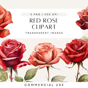Einzelne Rose Clipart, Clip Art rote Rosen, Muttertag, Valentinstag, Aquarell Blume, Hochzeitseinladung, kommerzielle Nutzung, transparente PNG