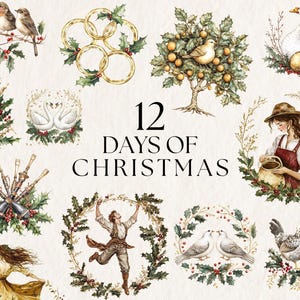 Clipart 12 giorni di Natale, decorazioni natalizie con agrifoglio, acquerello rustico accogliente, adesivi digitali per le vacanze invernali, uso commerciale, PNG trasparente