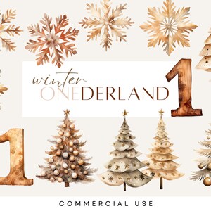 Winter In Onederland Clipart, eerste kerst, 1e verjaardag, leeftijd één, genderneutrale illustraties, aquarel, commercieel gebruik, transparante png