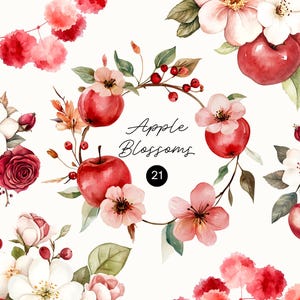 Imágenes prediseñadas de manzanas con motivos florales/acuarela, ramos de manzanas rojas y flores blancas, coronas, marcos y guirnaldas, PNG transparente, uso comercial.