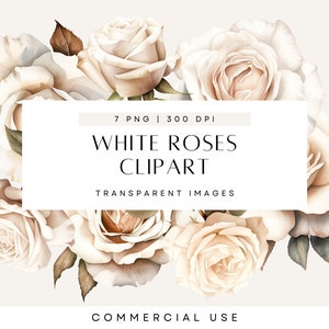 Aquarell Rose Knospe Clipart, weiße Rosen, Rosenknospen, Blumen Clip Art, Aquarell Blume, Hochzeitsdesign, transparente PNG, kommerzielle Nutzung