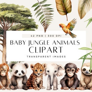 Clipart bébé animaux de la jungle, mignon animal aquarelle, lot de 1 baby shower sauvage, feuillage de la jungle, verdure, usage commercial, PNG transparent