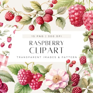 Framboos baby shower clipart, Berry Sweet Baby on the Way Invite, roze frambozen aquarel uitnodiging, commercieel gebruik, transparante png