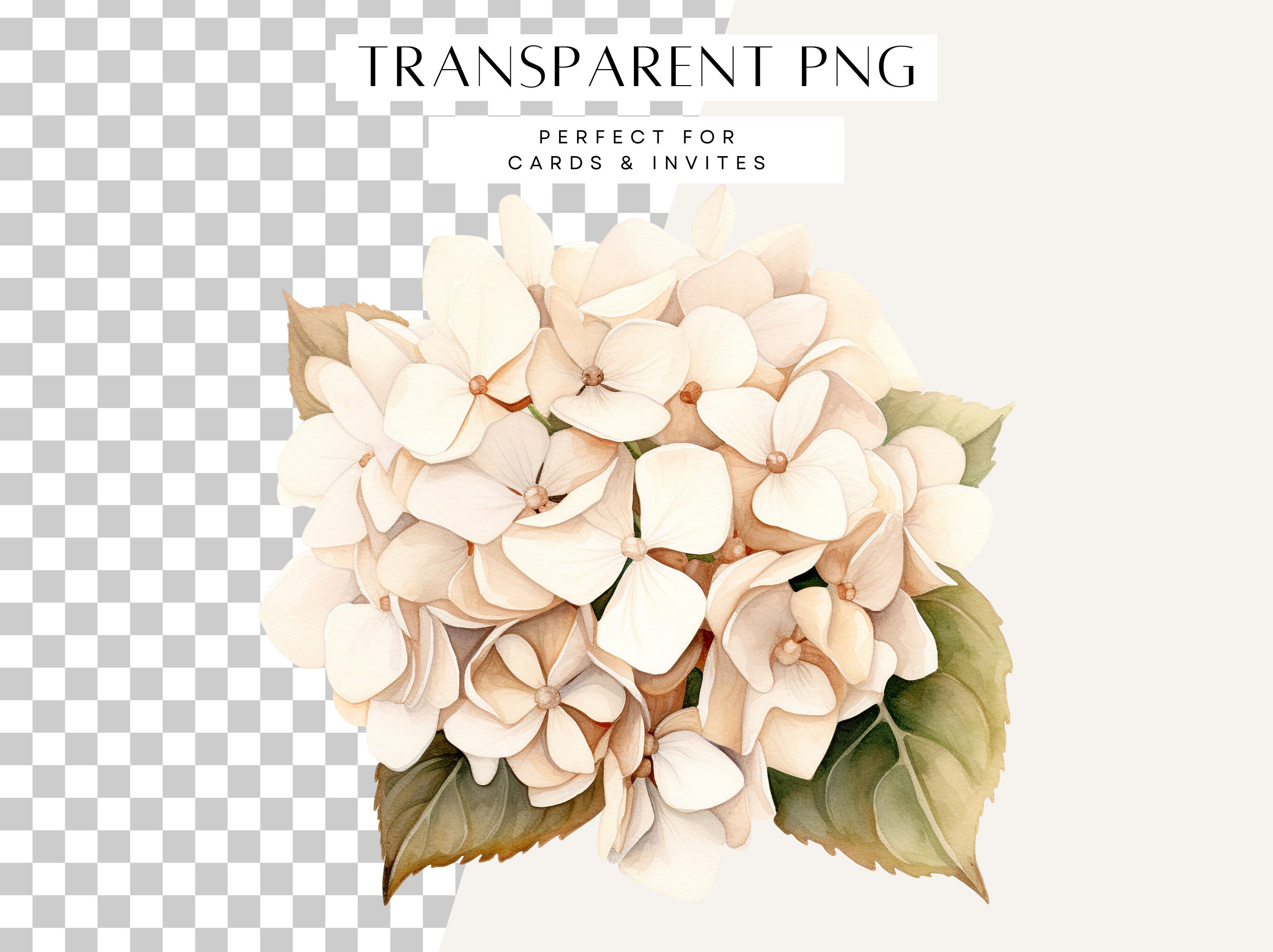 Hydrangea Printable Clipart, White Floral Clip Art, Flower Arrangement ...