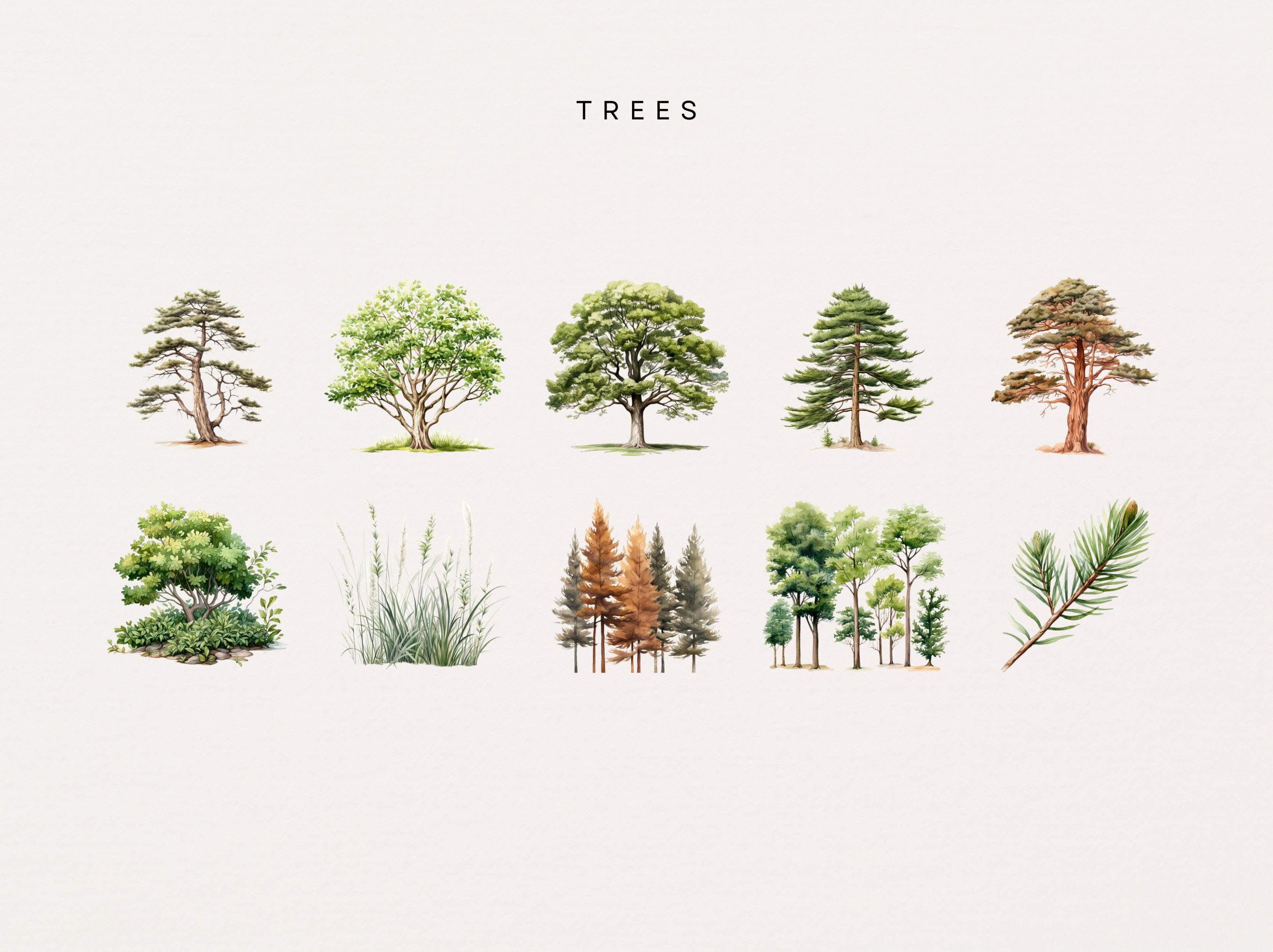 Woodland Clip Art, Watercolor Forest Clip Art, Clipart Scenes