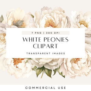 Weiße Pfingstrosen Clipart, Floral Clip Art, Blumenschmuck, Grün, Botanische, Laub, Hochzeit Design, Transparente PNG, kommerzielle Nutzung