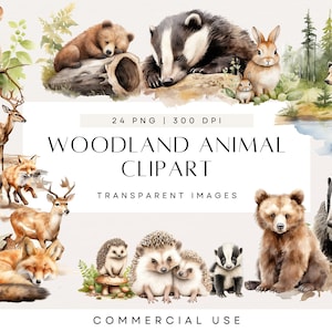 Imágenes prediseñadas de animales del bosque en acuarela, animales de fiesta, imágenes prediseñadas para guardería, zorro, oso, ciervo, erizo, conejo, uso comercial, PNG transparente