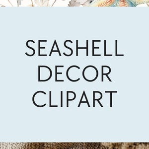 Mama's Beach Baby Shower Theme Ideas Coastal Sea Shell Decor Inspo
