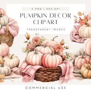 Rosa Kürbis-Clip-Art, meine kleine Kürbis-Babyparty Clipart, Mädchen-Babyshower Kürbisse, Boho Herbst Dekor, kommerzielle Nutzung, transparent