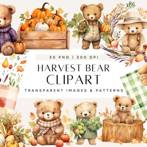 Clipart de oso de peluche de otoño, clip art de acuarela neutra, invitación de baby shower de ositos de peluche de género neutro, uso comercial, PNG transparente
