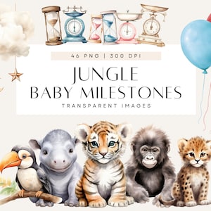 Clipart bébé animaux de la jungle, jalons bébé, clipart Boho, faire-part pour baby shower sur le thème de la jungle, lot, usage commercial, PNG transparent
